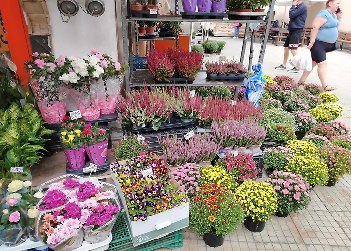 Apartment Good Mood & Parking Plovdiv