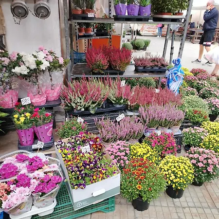 Apartman Good Mood & Parking Plovdiv