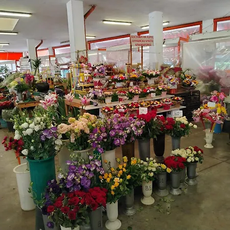 Good Mood & Parking Апартаменти *