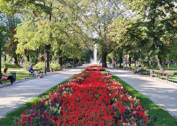 Апартаменти Good Mood & Parking *