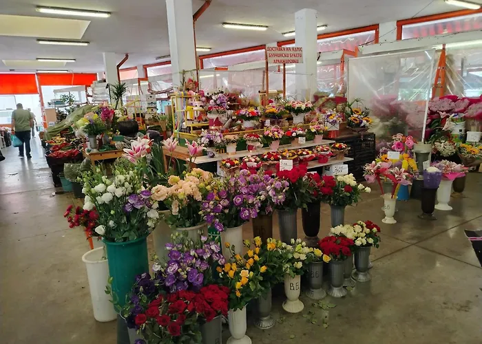 Good Mood & Parking Апартаменти *